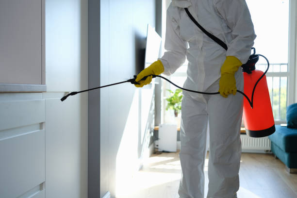 Wareham Center, MA Mold Removal Company