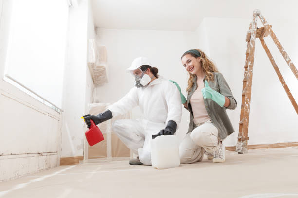 Best Residential Mold Inspection & Testing  in Wareham Center, MA